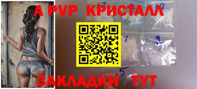 a pvp Кингисепп