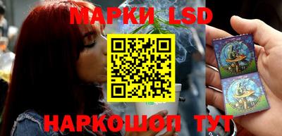 a pvp Кингисепп
