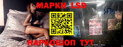 a pvp Кингисепп