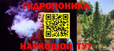 a pvp Кингисепп