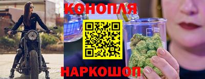 a pvp Кингисепп