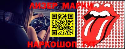 a pvp Кингисепп