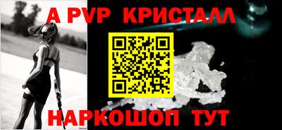 a pvp Кингисепп