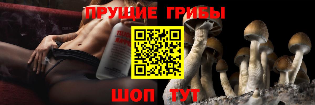 Галлюциногенные грибы ЛСД  Вход с VPN  Кизляр  Галлюциногенные грибы MAGIC MUSHROOMS 